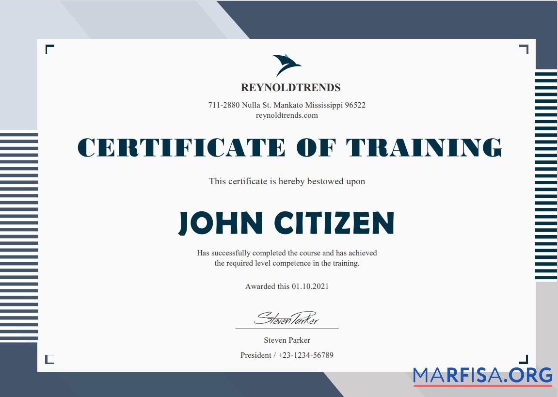Blank USA Company Training Cert download for verification